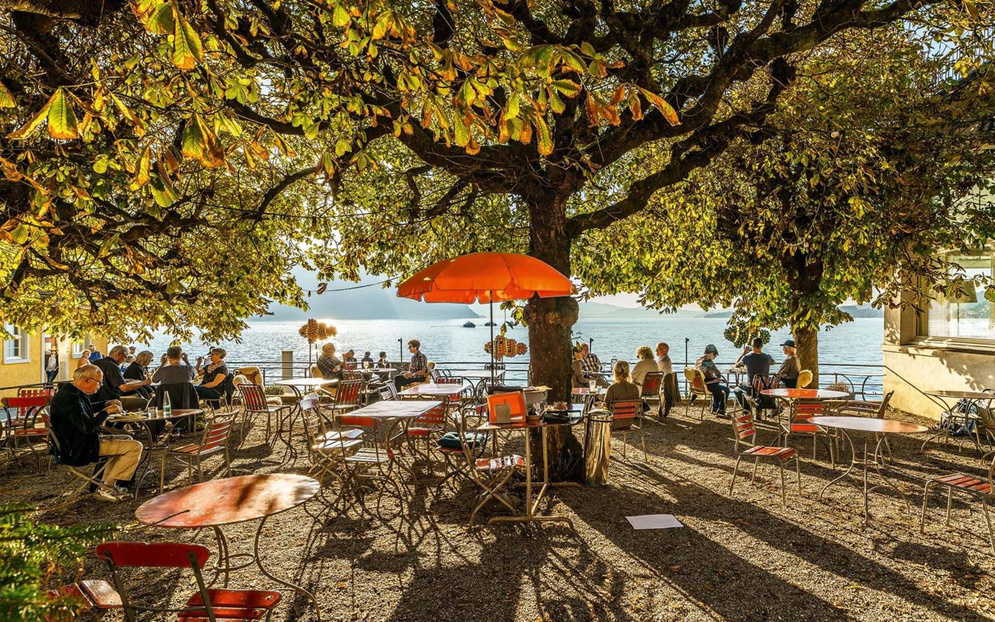 Hotel Terrasse Am See Vitznau Exterior photo